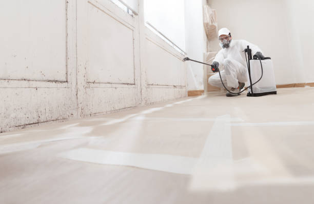 24/7 Emergency Black Mold Remediation experts in Hightstown, NJ