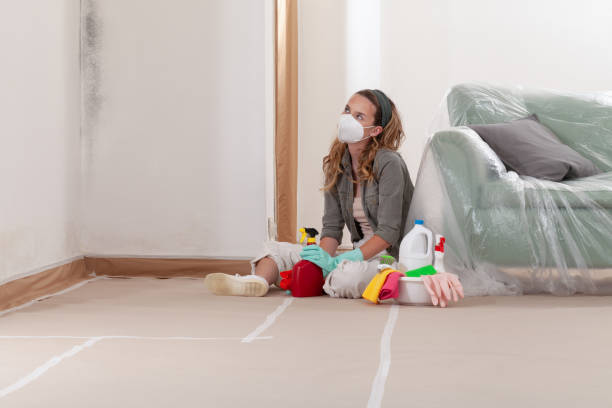 Reliable Black Mold Remediation contractor in Hightstown, NJ by 24 Hour Mold Removal